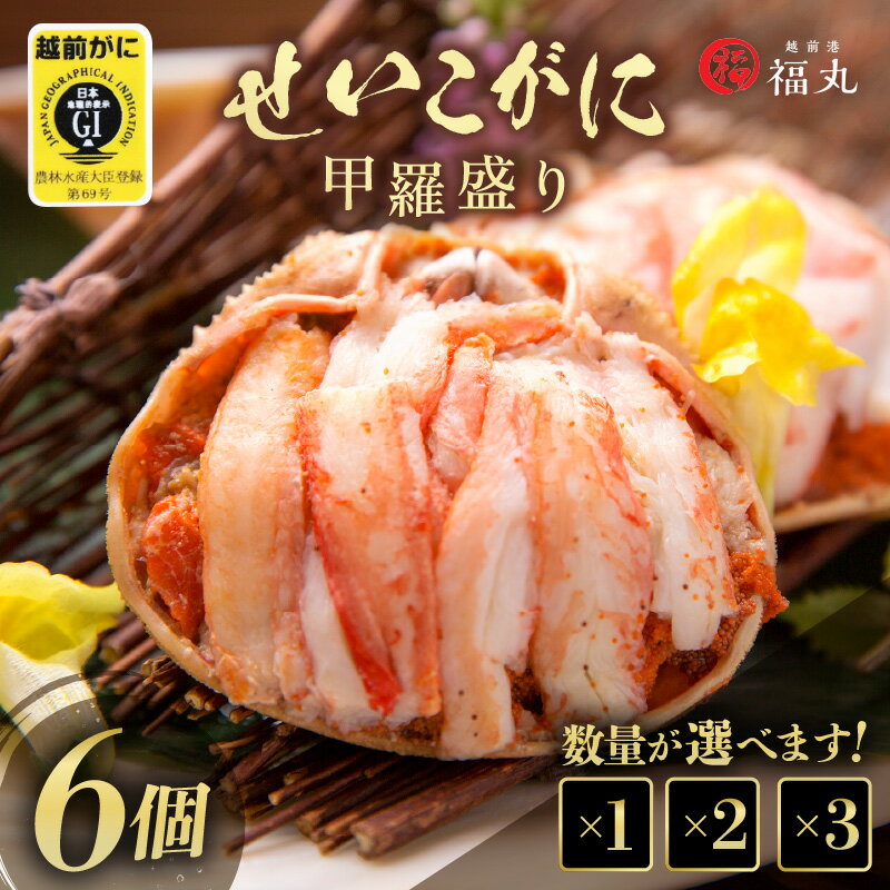 せいこがに(越前がに) 甲羅盛り × 6パック 福井の網元漁師「福丸」が厳選![選べる内容量][ずわいがに 雌][せいこ蟹 セイコガニ セコガニ カニ むき身 グルメ]
