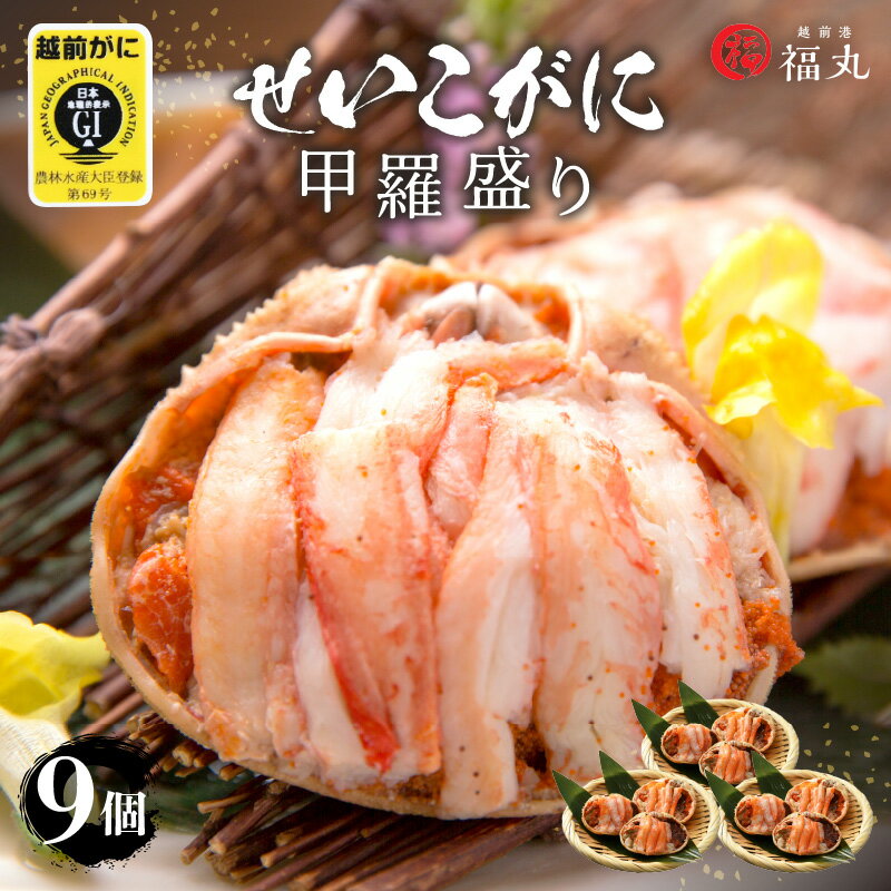 ڤդ뤵Ǽǡۤˡʱˡ   9ѥå ʡָաʡݡפڤ襤 ۡڤ    भ ...