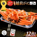 【ふるさと納税】【訳あり】≪浜茹で≫指折れ 越前がに(小) × 2杯 食べ方しおり かにスプーン付き【雄 ズワイガニ ずわいがに 越前ガニ 姿 ボイル 冷蔵 福...