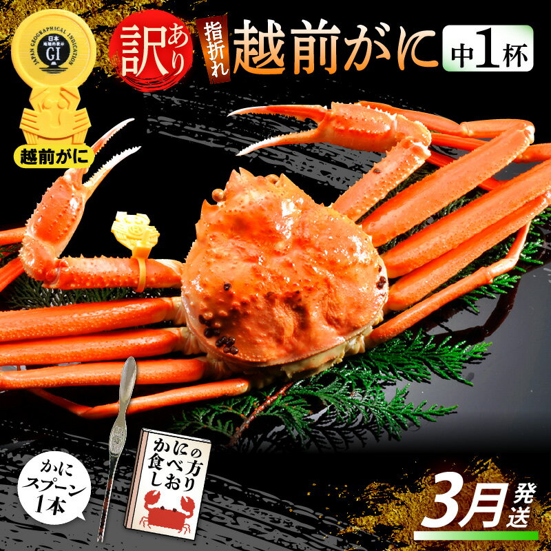 【ふるさと納税】【訳あり】≪浜茹で≫指折れ 越前がに(中) × 1杯 食べ方しおり かにスプーン付き【雄 ズワイガニ ずわいがに 越前ガニ 姿 ボイル 冷蔵 福...