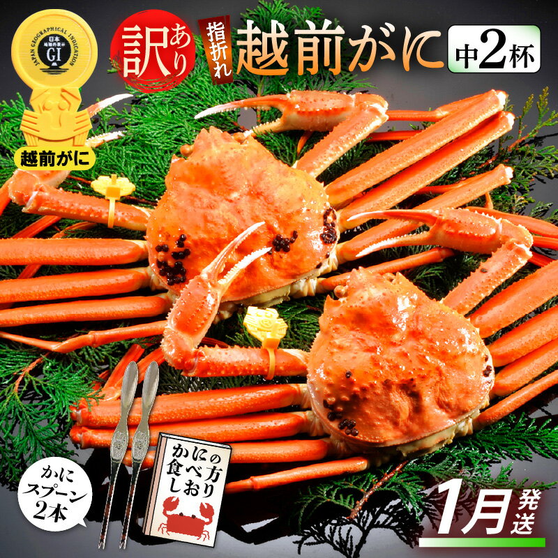 【ふるさと納税】【訳あり】≪浜茹で≫指折れ 越前がに(中) × 2杯 食べ方しおり かにスプーン付き【雄 ズワイガニ ずわいがに 越前ガニ 姿 ボイル 冷蔵 福...
