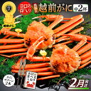 【ふるさと納税】【訳あり】≪浜茹で≫指折れ 越前がに(中) × 2杯 食べ方しおり かにスプーン付き【雄 ズワイガニ ずわいがに 越前ガニ 姿 ボイル 冷蔵 福...