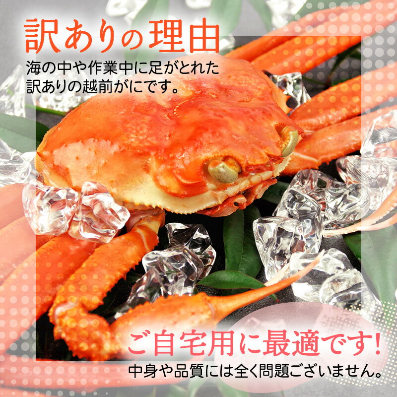 【ふるさと納税】【訳あり】≪浜茹で≫指折れ 越前がに（大） × 1杯 食べ方しおり かにスプーン付き【雄 ズワイガニ ずわいがに 越前ガニ 姿 ボイル 冷蔵 福井県】【2月発送分】希望日指定可 備考欄に希望日をご記入ください [e15-x005_02]
