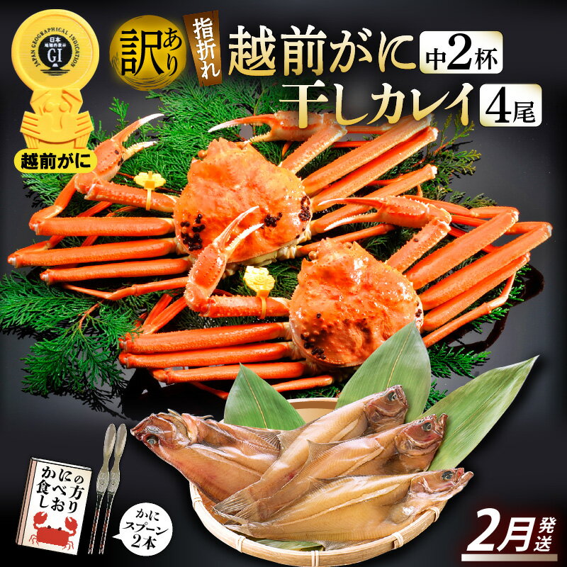 【ふるさと納税】「訳あり 指折れ 越前がに(中)2杯」+ 「干しカレイ 4尾」 食べ方しおり かにスプーン付き【雄 ズワイガニ ずわいがに 越前ガニ 姿 ボイル...