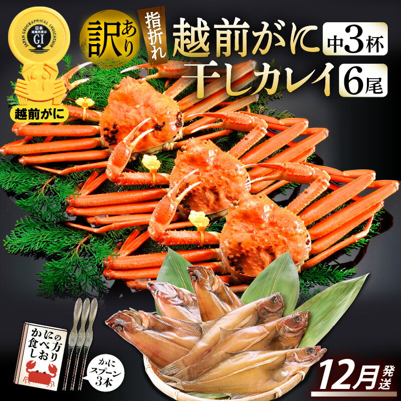 【ふるさと納税】「訳あり 指折れ 越前がに(中)3杯」+ 「干しカレイ 6尾」 食べ方しおり かにスプーン付き【雄 ズワイガニ ずわいがに 越前ガニ 姿 ボイル...