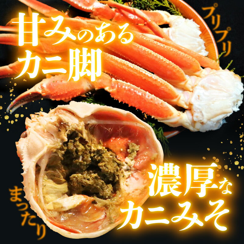 【ふるさと納税】≪浜茹で≫越前がに 中サイズ（生で600g前後） × 1杯 食べ方しおり かにスプーン付き【雄 ズワイガニ 越前ガニ かに カニ 蟹 姿 ボイル 冷蔵 福井県】【3月発送分】希望日指定可 備考欄に希望日をご記入ください