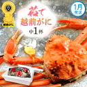 【ふるさと納税】≪浜茹で≫越前がに 中サイズ(生で600g前後) × 1杯 食べ方しおり かにスプーン付き【雄 ズワイガニ 越前ガニ かに カニ 蟹 姿 ボイル...