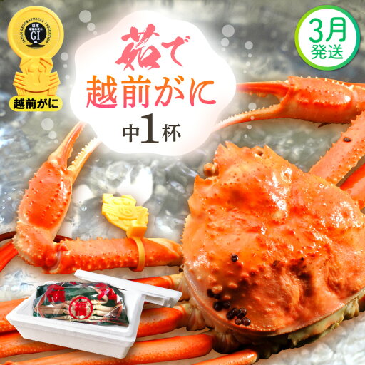 【ふるさと納税】≪浜茹で≫越前がに 中サイズ(生で600g前後) × 1杯 食べ方しおり かにスプーン付き【雄 ズワイガニ 越前ガニ かに カニ 蟹 姿 ボイル 冷蔵 福井県】【3月発送分】希望日指定可 備考欄に希望日をご記入ください 【ふるさと納税】≪浜茹で≫越前がに 中サイズ(生で600g前後) × 1杯 食べ方しおり かにスプーン付き【雄 ズワイガニ 越前ガニ かに カニ 蟹 姿 ボイル 冷蔵 福井県】【3月発送分】希望日指定可 備考欄に希望日をご記入ください
