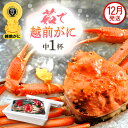 【ふるさと納税】≪浜茹で≫越前がに 中サイズ(生で600g前後) × 1杯 食べ方しおり かにスプーン付き【雄 ズワイガニ 越前ガニ かに カニ 蟹 姿 ボイル...