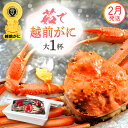 【ふるさと納税】≪浜茹で≫越前がに 大サイズ(生で800g前後) × 1杯 食べ方しおり かにスプーン付き【雄 ズワイガニ 越前ガニ かに カニ 蟹 姿 ボイル...