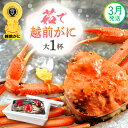 【ふるさと納税】≪浜茹で≫越前がに 大サイズ(生で800g前後) × 1杯 食べ方しおり かにスプーン付き【雄 ズワイガニ 越前ガニ かに カニ 蟹 姿 ボイル...
