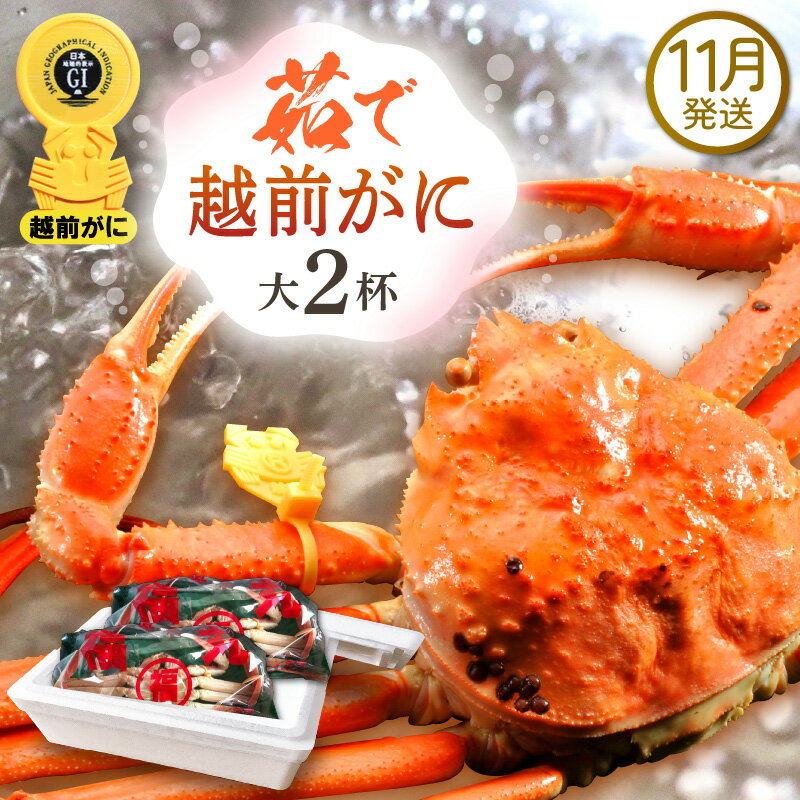ڤդ뤵Ǽǡۢ觤Ǣ 祵800g  2  ˥סդͺ 磻   ...
