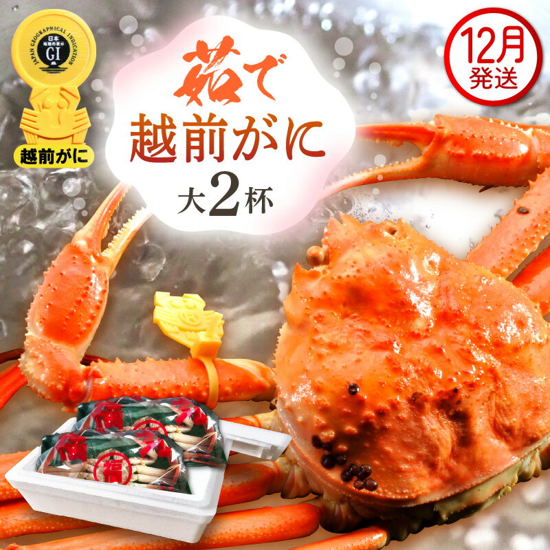 ڤդ뤵Ǽǡۢ觤Ǣ 祵800g  2  ˥סդͺ 磻   ...
