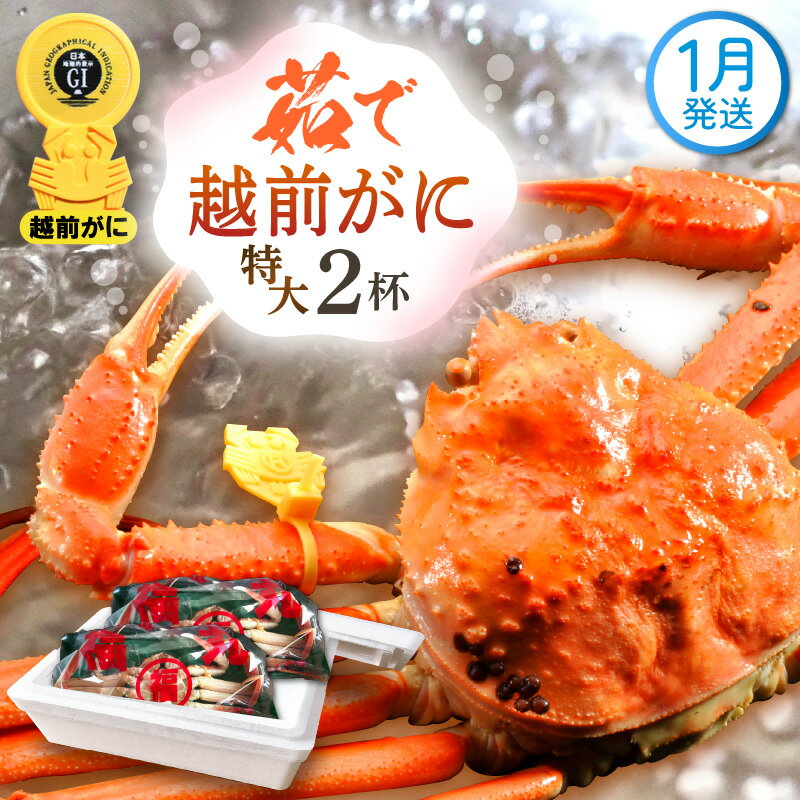 ڤդ뤵Ǽǡۢ觤Ǣ 祵1kg  2  ˥סդͺ 磻   ...