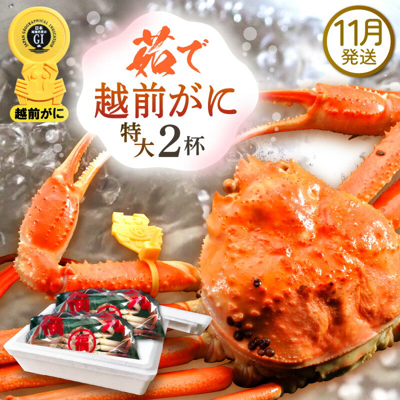 ڤդ뤵Ǽǡۢ觤Ǣ 祵1kg  2  ˥סդͺ 磻   ...