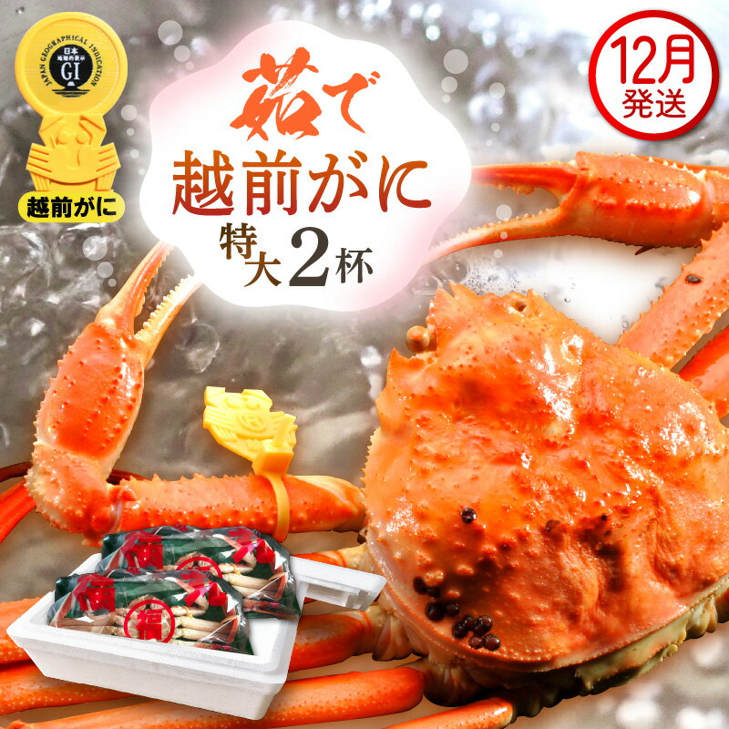 ڤդ뤵Ǽǡۢ觤Ǣ 祵1kg  2  ˥סդͺ 磻   ...