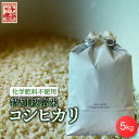 12位! 口コミ数「0件」評価「0」令和5年産 特別栽培米 コシヒカリ 5kg （精米）【米 白米 こしひかり 農薬減 有機肥料 送料無料 お取り寄せ グルメ のし ギフト 福･･･ 