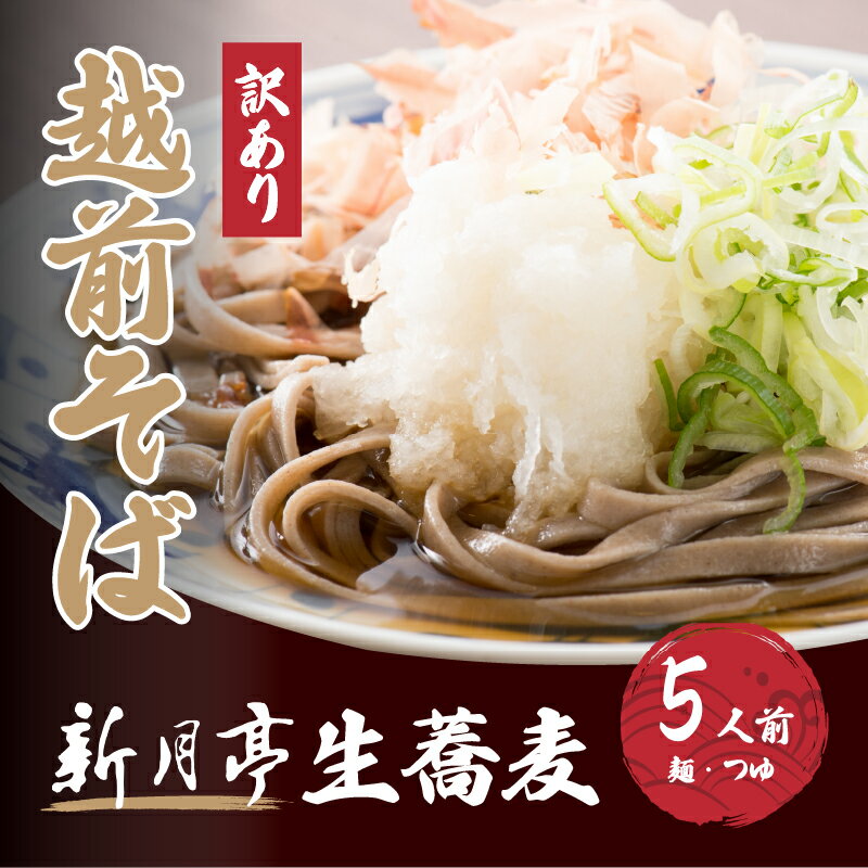 【ふるさと納税】冷蔵 生そば 5人前(だし付き) 越前蕎麦 こだわり (保存料・防腐剤・添加物不使用） 美味しいそばのゆで方ポイント付 【ソバ 訳あり 麺 お届け希望日指定可能 年末 年越し ざるそば 家族 楽しみ 冷凍保存 夕食 アレンジ 】