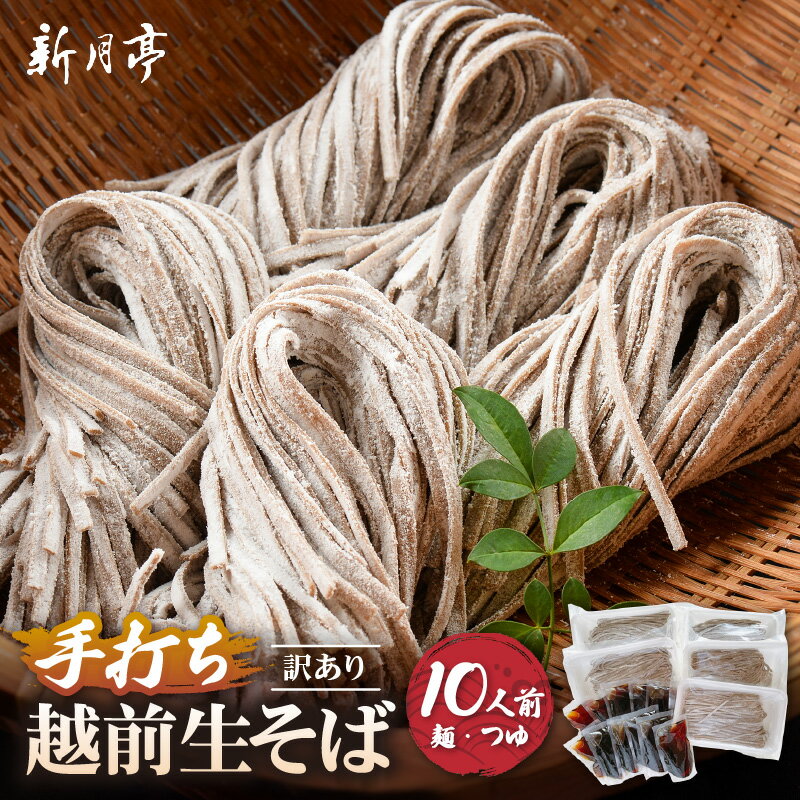 【ふるさと納税】 冷蔵 生そば 10人前(だし付き) 越前蕎麦 こだわり (保存料・防腐剤・添加物不使用)美味しいそばのゆで方ポイント付 【ソバ 訳あり 麺 お...