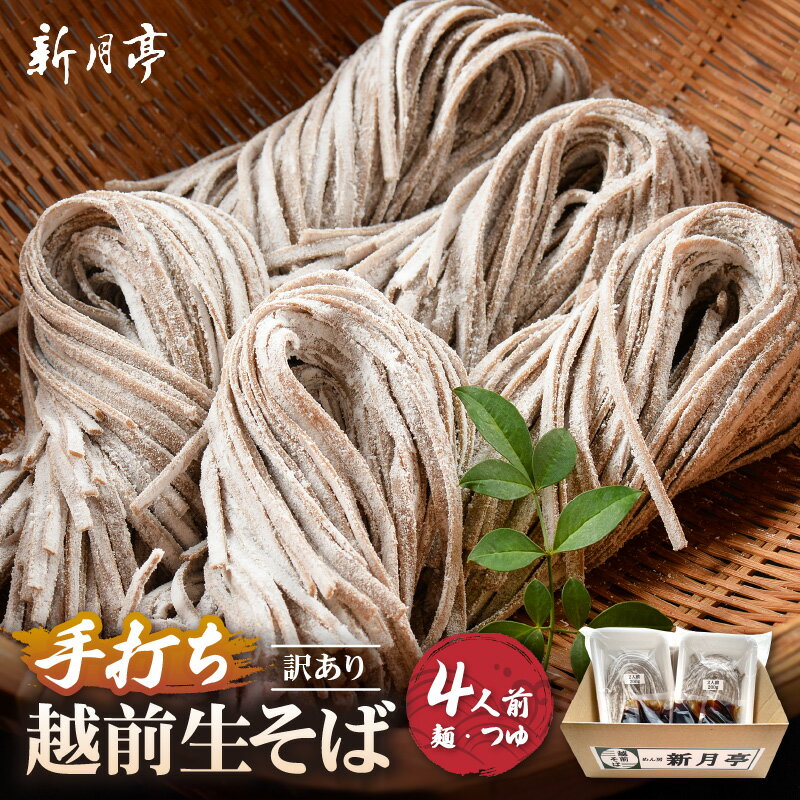 【ふるさと納税】冷蔵 生そば 4人前(だし付き) 越前蕎麦 こだわり (保存料・防腐剤・添加物不使用)美味しいそばのゆで方ポイント付 【ソバ 訳あり 麺 お届け...