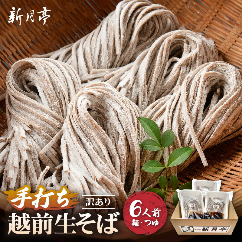 【ふるさと納税】冷蔵 生そば 6人前(だし付き)越前蕎麦 こだわり(保存料・防腐剤・添加物不使用)美味しいそばのゆで方ポイント付 【ソバ 訳あり 麺 年末 年越...