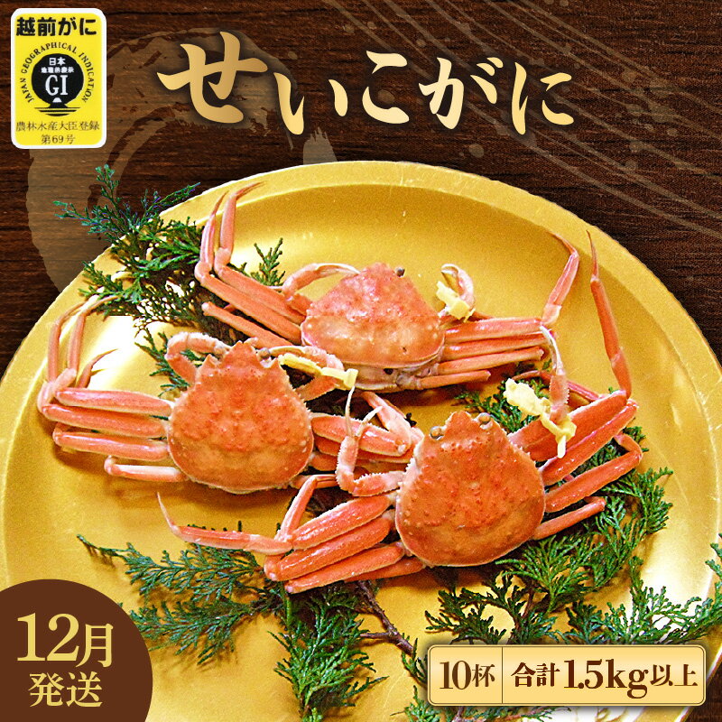 【ふるさと納税】≪浜茹で≫ 越前せいこがに 10杯（1杯150g以上)【雌 ズワイガニ】【カニ 越前 ...