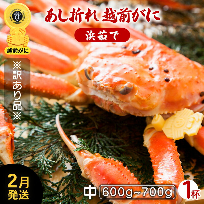 【ふるさと納税】【訳あり】≪浜茹で≫足折れ 越前がに 中サイズ × 1杯（生で600〜700g）地元で喜ばれるゆで加減・塩加減でお届け！【雄 ズワイガニ ずわいがに 姿 ボイル 冷蔵 福井県】【2月発送分】希望日指定可 備考欄に希望日をご記入ください [e23-x001_02]