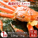 【ふるさと納税】≪浜茹で≫越前がに 大サイズ × 1杯(生で0.9〜1kg)地元で喜ばれるゆで加減・塩加減で越前の港から直送!【雄 ズワイガニ ずわいがに 越前...