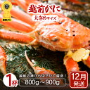 【ふるさと納税】≪浜茹で≫越前ずわい蟹 大きめサイズ× 1杯(800〜900g)地元で喜ばれるゆで加減・塩加減で越前の港から直送!【雄 ズワイガニ ずわいがに ...