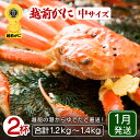 【ふるさと納税】≪浜茹で≫越前がに 中サイズ × 2杯(生で600〜700g)地元で喜ばれるゆで加減・塩加減でお届け!【雄 ズワイガニ ずわいがに 越前ガニ 姿...