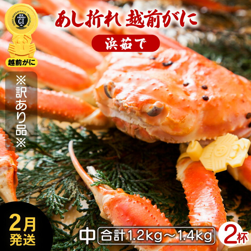 【ふるさと納税】【訳あり】足折れ 越前がに 中サイズ × 2杯（1杯600〜700g）地元で喜ばれるゆで加減・..