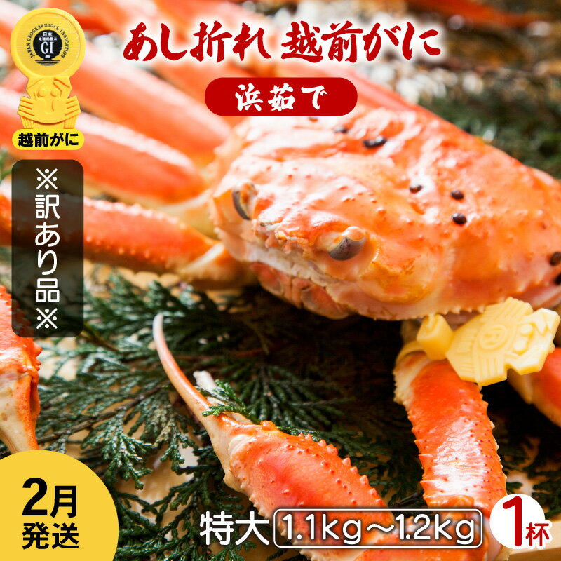 【ふるさと納税】【訳あり】足折れ 越前がに 特大サイズ × 1杯（1.1～1.2kg）地元で喜ばれる ...