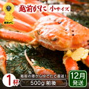 【ふるさと納税】≪浜茹で≫越前がに 小サイズ × 1杯(500g前後)地元で喜ばれるゆで加減・塩加減でお届け!【雄 ズワイガニ ずわいがに 越前ガニ 姿 ボイル...