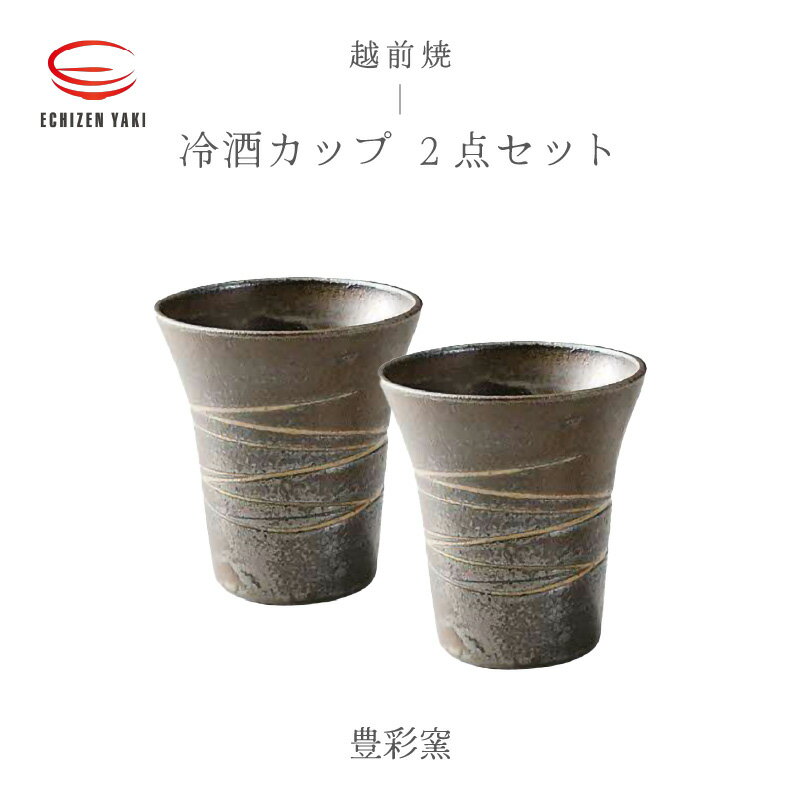 【越前焼】冷酒カップ 2点セット 豊彩窯【ビール 酒 コップ カップ マグカップ 食器 ギフト うつわ 電子レンジ 食洗機 工芸品 陶芸 作家 陶器】