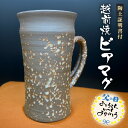 【ふるさと納税】【父の日限定】【先行予約】越前焼 ビアマグ 志野 桐箱入り 光窯「陶土証明書あり」【2025年6月9日以降順次発送】【食器 酒 ビール コップ ...