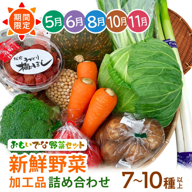 【ふるさと納税】期間限定！季節の野菜・加工品 7〜10種以上 詰合せ「おもいでな野菜セット」【人気 おまかせ 詰め合わせ 季節 旬 新鮮】 [e26-a001]