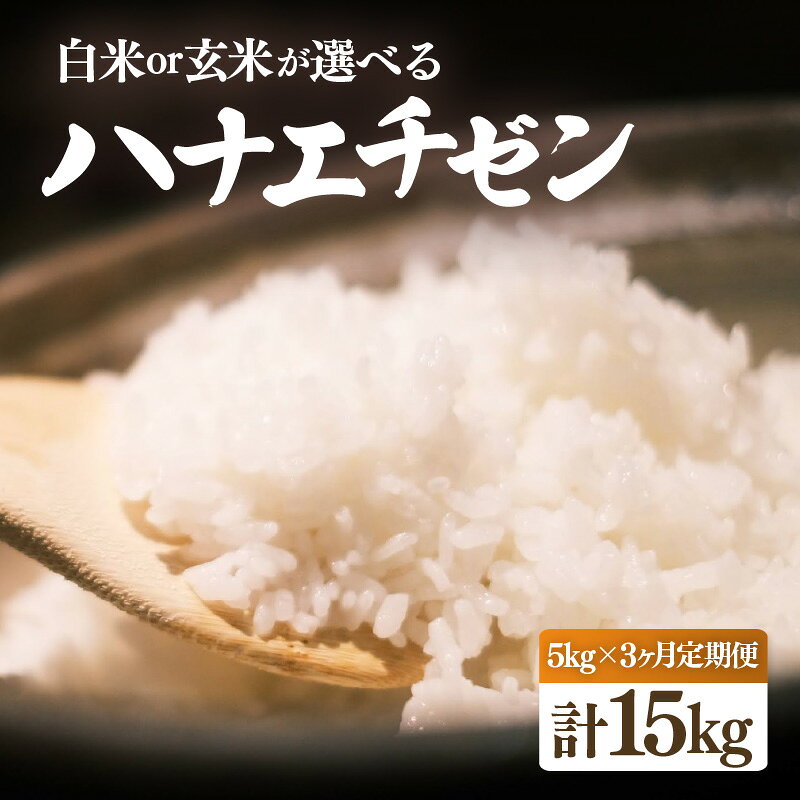 【ふるさと納税】【先行予約】【令和8年産】定期便 ≪3ヶ月連続お届け≫ ハナエチゼン 5kg × 3回（合計15kg）【2026年10月中旬以降順次発送】【選べる精米方法：白米/玄米】【お米 こめ はなえちぜん 人気 ブランド米 5キロ 白米 精米 玄米 うまい 福井 福井県産】
