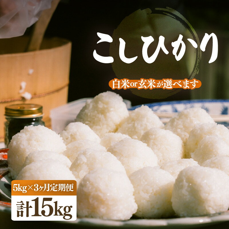 【ふるさと納税】【先行予約】【令和8年産・新米】定期便 ≪3ヶ月連続お届け≫ こしひかり 5kg × 3回（合計15kg）【選べる精米方法：白米/玄米】【2026年10月中旬以降順次発送】【こめ コシヒカリ 人気品種 ブランド米 5キロ 白米 精米 玄米 おにぎり 福井県】