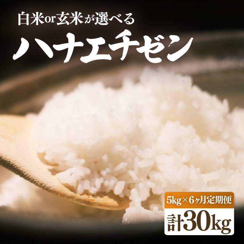 【ふるさと納税】【先行予約】【令和8年産・米】定期便 ≪6ヶ月連続お届け≫ ハナエチゼン 5kg × 6回（合計30kg）【選べる精米方法：白米/玄米】【2026年10月中旬以降順次発送】【お米 こめ はなえちぜん 人気 ブランド米 5キロ 白米 精米 玄米 うまい 福井 福井県産】