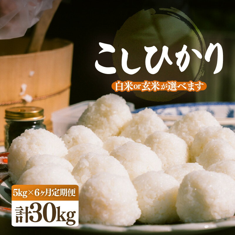 【ふるさと納税】【先行予約】【令和8年産・新米】定期便 ≪6ヶ月連続お届け≫ こしひかり 5kg × 6回（合計30kg）【選べる精米方法：白米/玄米】【2026年10月中旬以降順次発送】【こめ コシヒカリ 人気品種 ブランド米 5キロ 白米 精米 玄米 おにぎり 福井県】