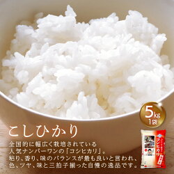 【ふるさと納税】訳あり・限定【3日以内発送！】米10kg 2種食べ比べ！ コシヒカリ ハナエチゼン 令和4年 福井県産【精米 人気品種 こしひかり 華越前 計 10キロ】 [e27-a024]･･･ 画像2