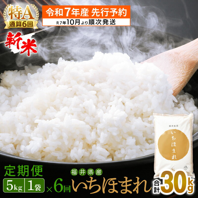 【ふるさと納税】定期便 ≪6ヶ月連続お届け≫ いちほまれ 5kg × 6回（計30kg） 特A通算5回獲得！令和5年 福井県産【計 30キロ 精米 人気 品種】 [e27-d001]