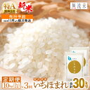 人気ランキング第24位「福井県越前町」口コミ数「0件」評価「0」【新米・先行予約】無洗米 定期便 3ヶ月 いちほまれ 10kg × 3回（計30kg）特A 通算6回！令和6年 福井県産【米 コメ kome 10キロ 3か月 計 30キロ 精米 白米 人気 便利 時短】【令和6年10月中旬より順次発送予定】 [e27-d003]