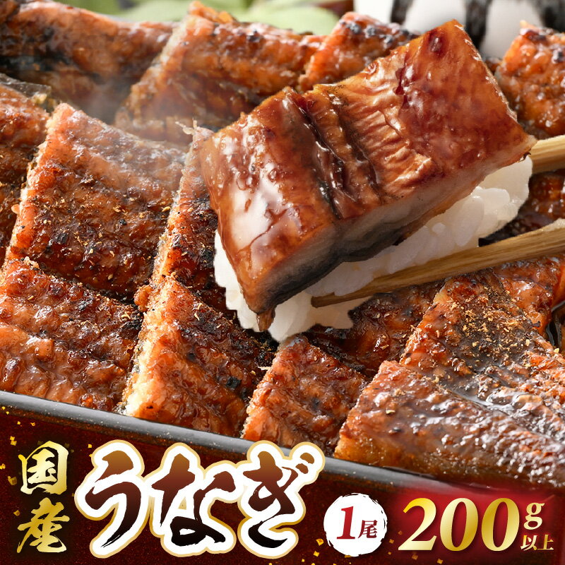 乐天商城 - 【ふるさと納税】レンジ温め 国産 うなぎ蒲焼き1尾(200～250g）店主手焼き 自家製秘伝タレ・山椒付き 冷凍【ウナギ かばやき さんしょう うなぎ ウナギ 鰻 蒲焼き 土用丑の日 グルメ 国産 樹香苑 】