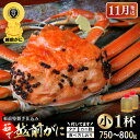 【ふるさと納税】≪茹で≫越前がに小(タグ付き)1杯(生で750~800g)カニ酢90cc付 板前特製手仕込み 食べ方しおり付き【雄 ズワイガニ かに カニ 蟹 越前ガニ 姿 ボイル 冷蔵 福井県】【11月発送分】希望日指定可 備考欄に電話番号をご記入ください