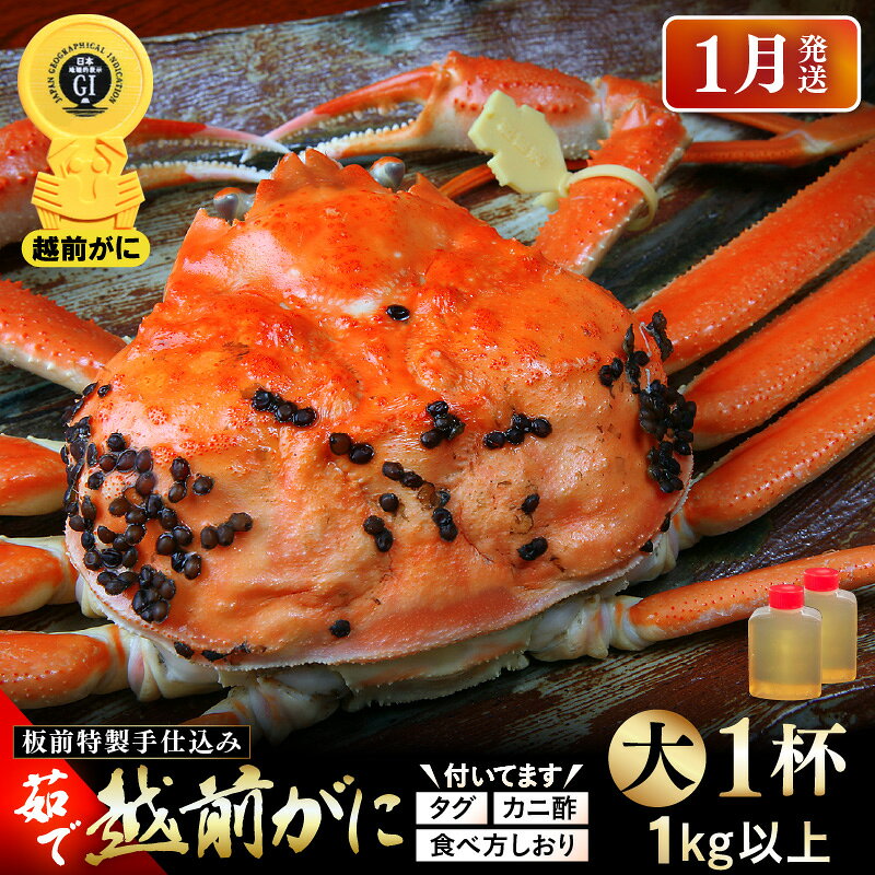 【ふるさと納税】≪茹で≫越前がに大（タグ付き）1杯（生で1kg以上）カニ酢90cc付 板前特製手仕込み 食べ方しおり付き【雄 ズワイガニ かに カニ 蟹 越前ガニ 姿 ボイル 冷蔵 福井県】【1月発送分】希望日指定可 備考欄に電話番号をご記入ください