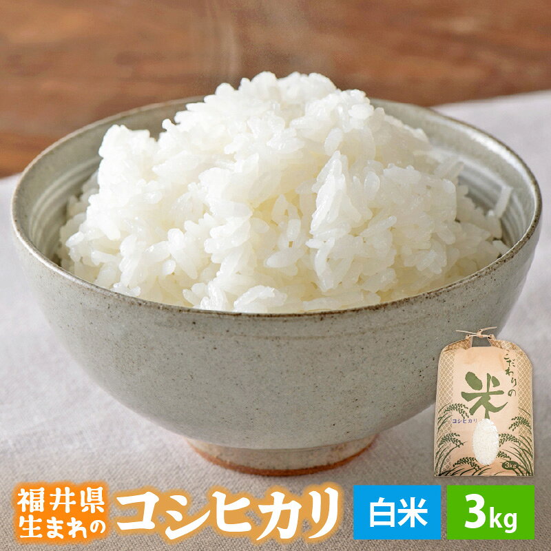 【ふるさと納税】 令和7年産 コシヒカリ 3kg 福井県産【白米】【 お米 こめ 米 コメ 精米 こしひかり 3キロ 人気品種】 [e30-a095] f184233-echizen-10000435 福井県越前町 サンプル画像2