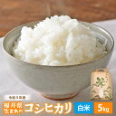 7位! 口コミ数「0件」評価「0」 米 コシヒカリ 5kg 令和5年 福井県産【白米】【お米 こしひかり 5キロ 人気品種 精米 】 [e30-a051]