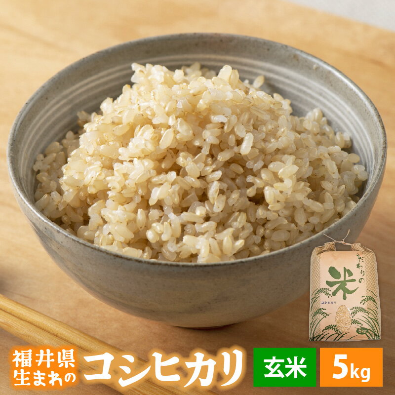 【ふるさと納税】【新米】 令和7年産 コシヒカリ 5kg 福井県産【玄米】【お米 こしひかり 5キロ 人気品種】 [e30-a096]
