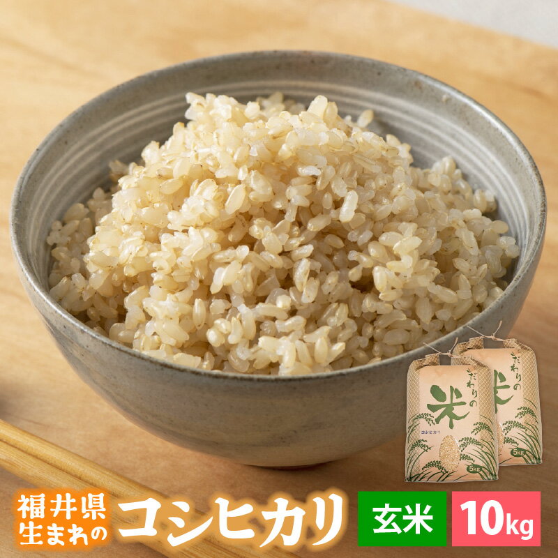 【ふるさと納税】【新米】 令和7年産 コシヒカリ 10kg 福井県産【玄米】【お米 こしひかり 10キロ 人気品種】 [e30-b014]
